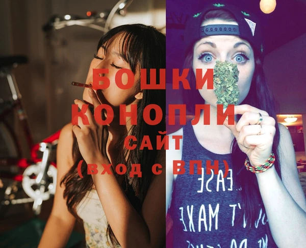 молекула духа Вязьма
