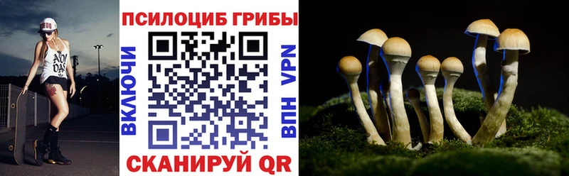 Галлюциногенные грибы Psilocybe купить цена Малаховка